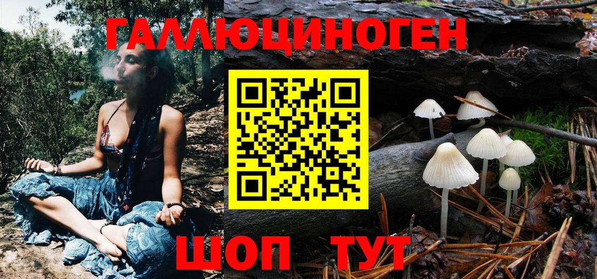 Галлюциногенные грибы прущие грибы  Вход с VPN  Ухта 